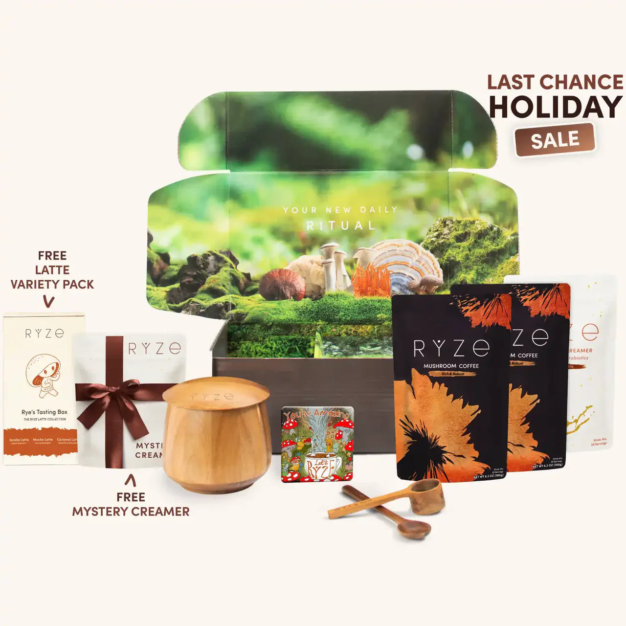 Mushroom Coffee Edition-AZN9