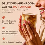 Mushroom Coffee Edition-AZN9