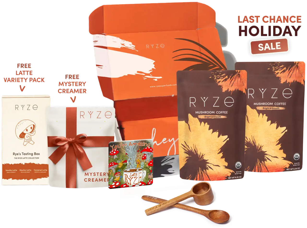 Starter Kit Edition-X1ZK