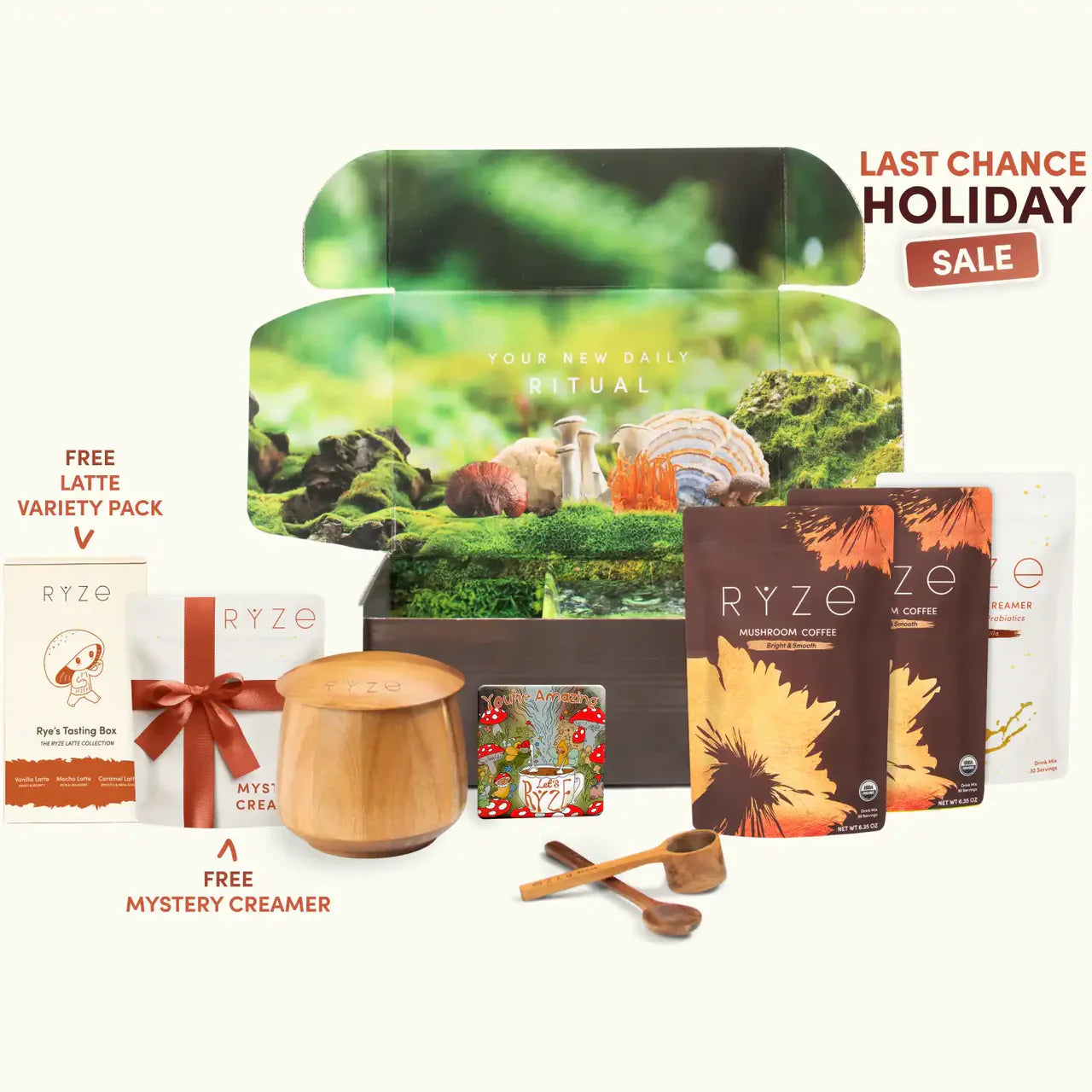 Mushroom Coffee Edition-AZN9