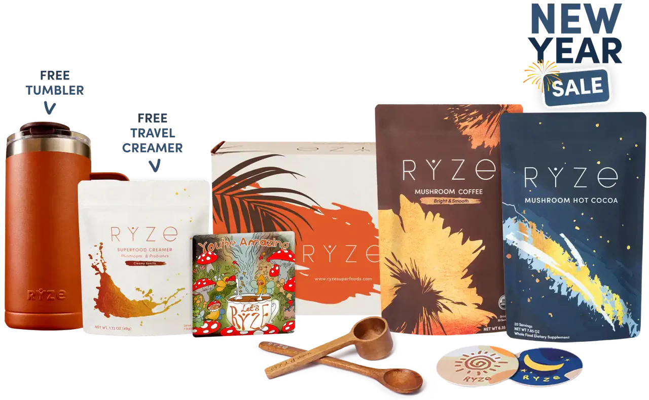 Day + Night Bundle Edition-XAZ5
