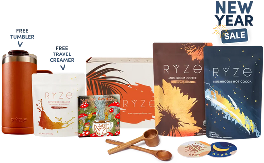 Day + Night Bundle Edition-XAZ5