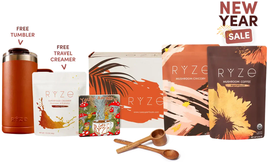 Lasting Energy Bundle Edition-W5J2