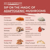 Mushroom Chai Edition-7U1T